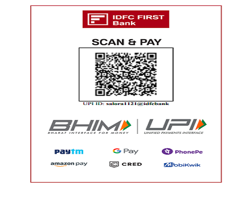 Salora Capitals Limited